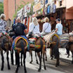 Fes To Middle Atlas Day Trip